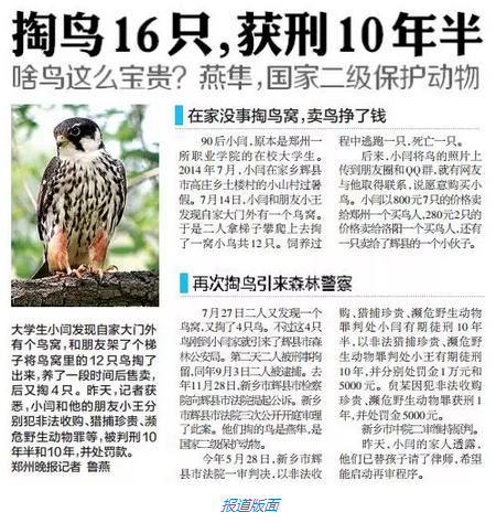 如果写新闻的人避重就轻，记者真的不如一只鸟