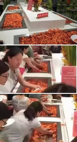 抢虾968.jpg