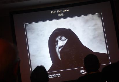 第十二届国际新闻摄影比赛开评 三万多幅作品参赛