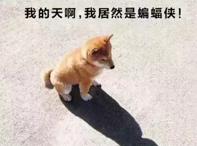 评论|媒体应忘掉蝙蝠侠，还是要做“看门狗”