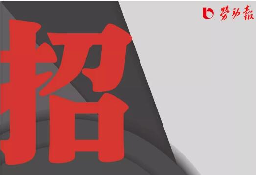 《劳动报》招新闻采编
