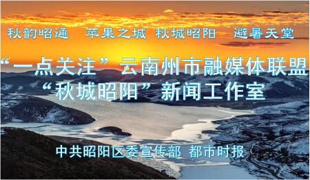 “秋城昭阳”上线“一点关注” 都市时报州市融媒体联盟迈出第一步