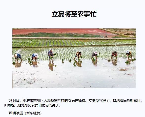 新华社声明：“倒插秧”新闻图片不存在摆拍