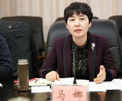 马娜出席岳阳市县级融媒体中心建设推进会