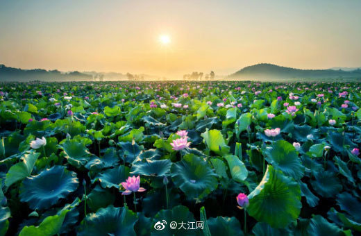 “不忘初心，踏上新征程”全国融媒体广昌行今日启动