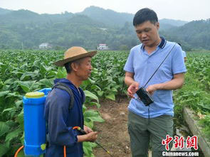 “融媒体+农业”：“烟农热线”助力农民脱贫增收